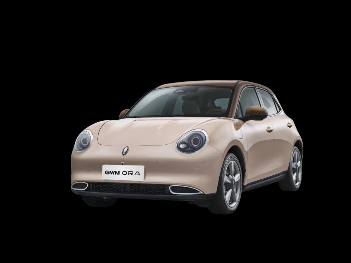 NETA Car